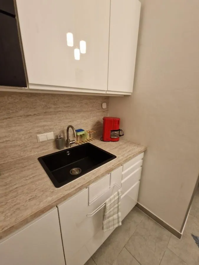 Entzueckendes Apartment Im Zentrum Graz Austria